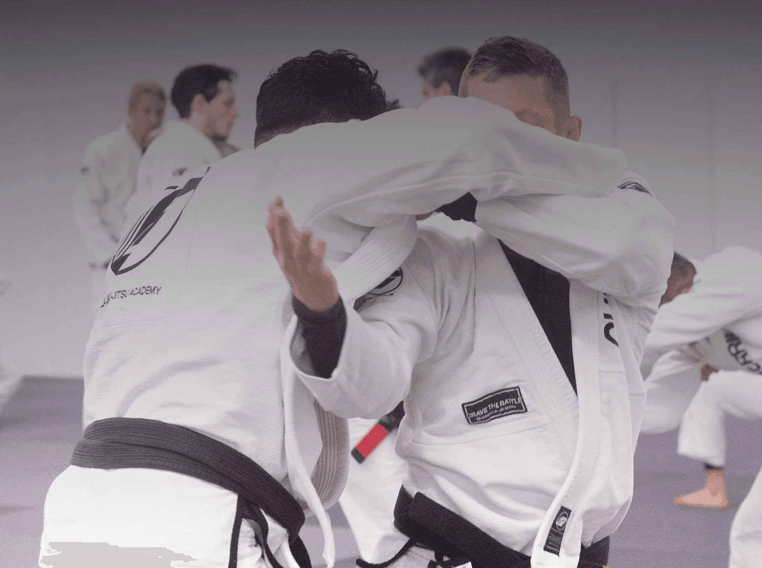 Guerrilla Jiujitsu training