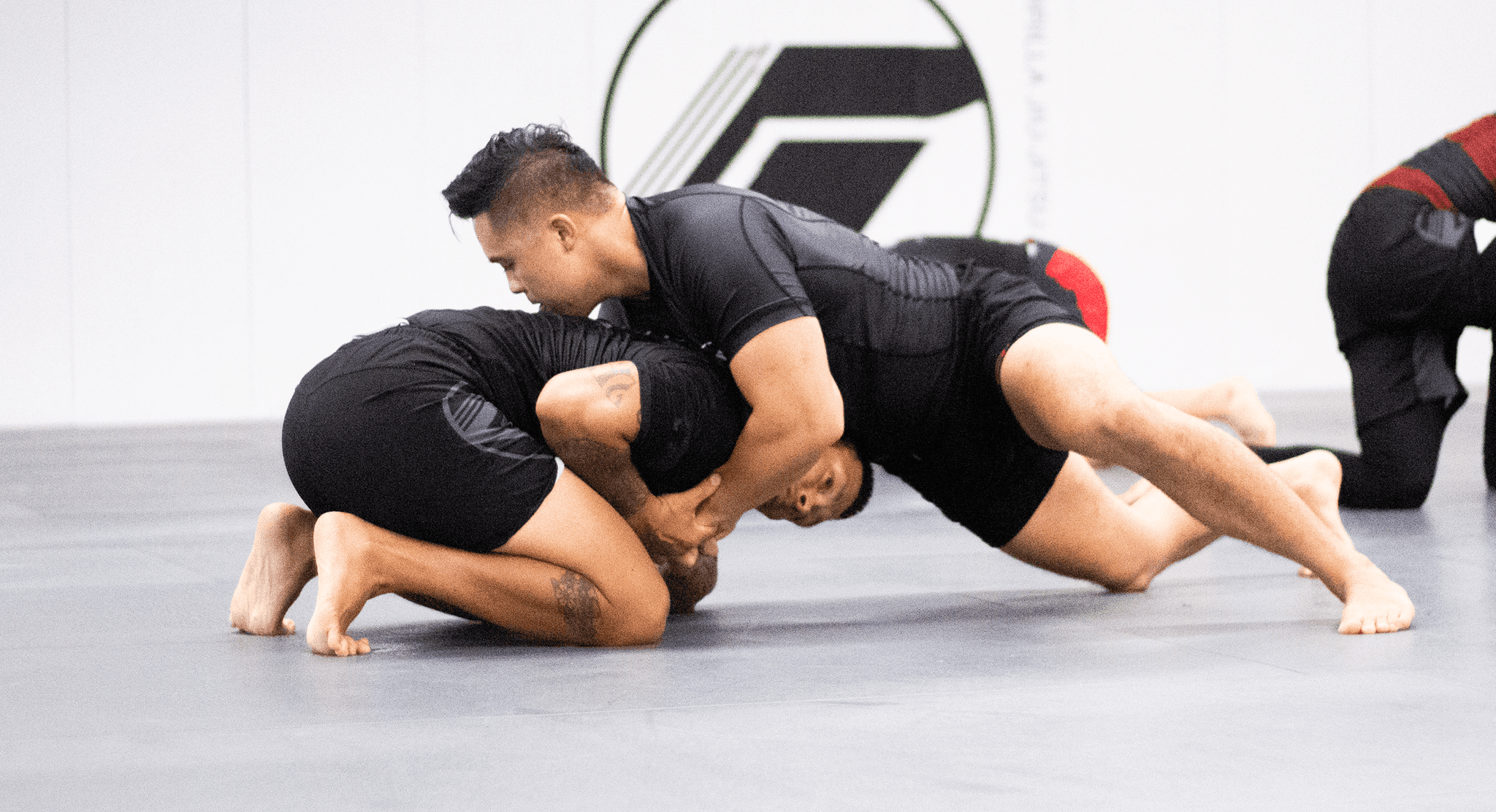 No-Gi All Levels